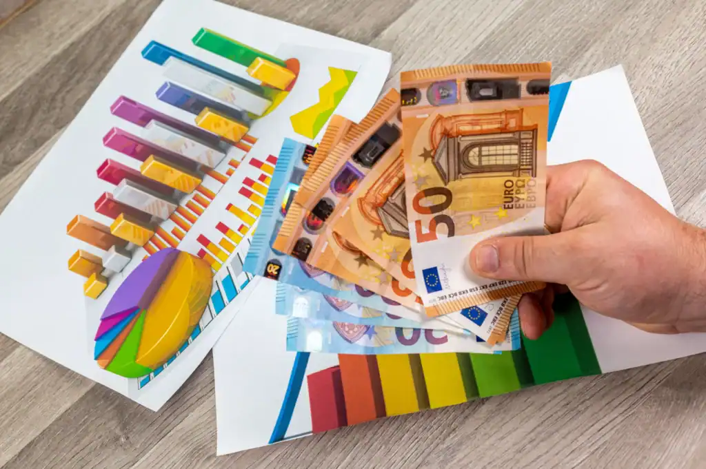 Insurance in Germany - Person holds Euro notes